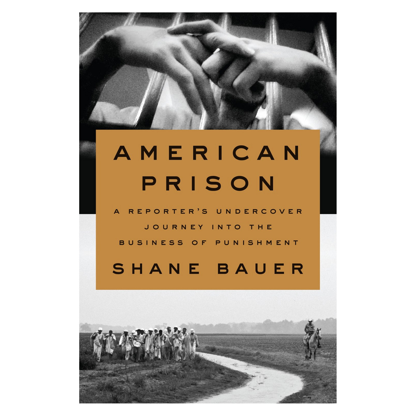 American Prison