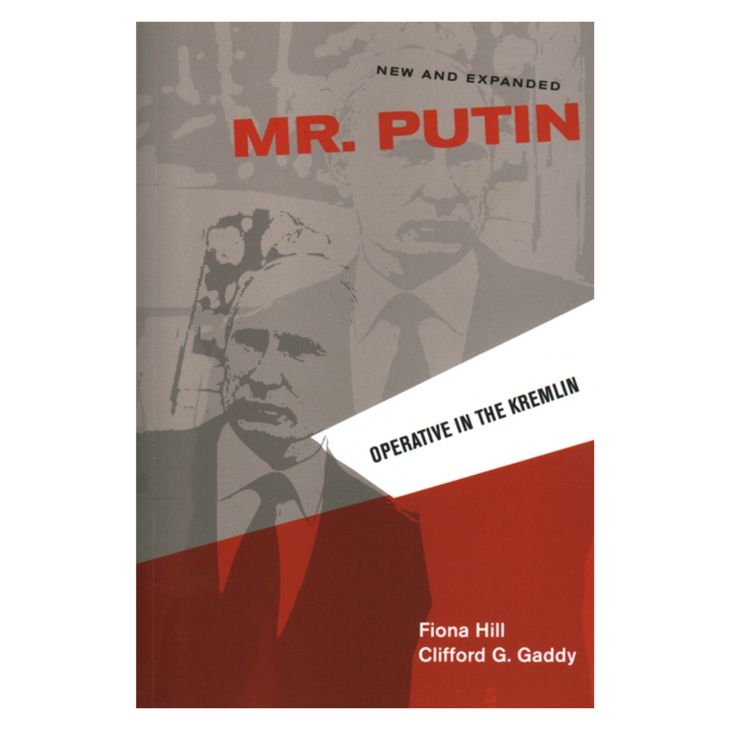 Mr. Putin: Operative in the Kremlin
