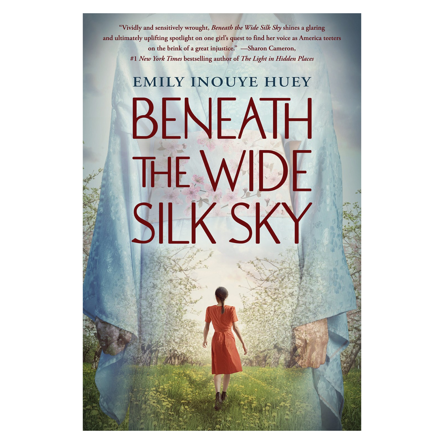 Beneath the Wide Silk Sky