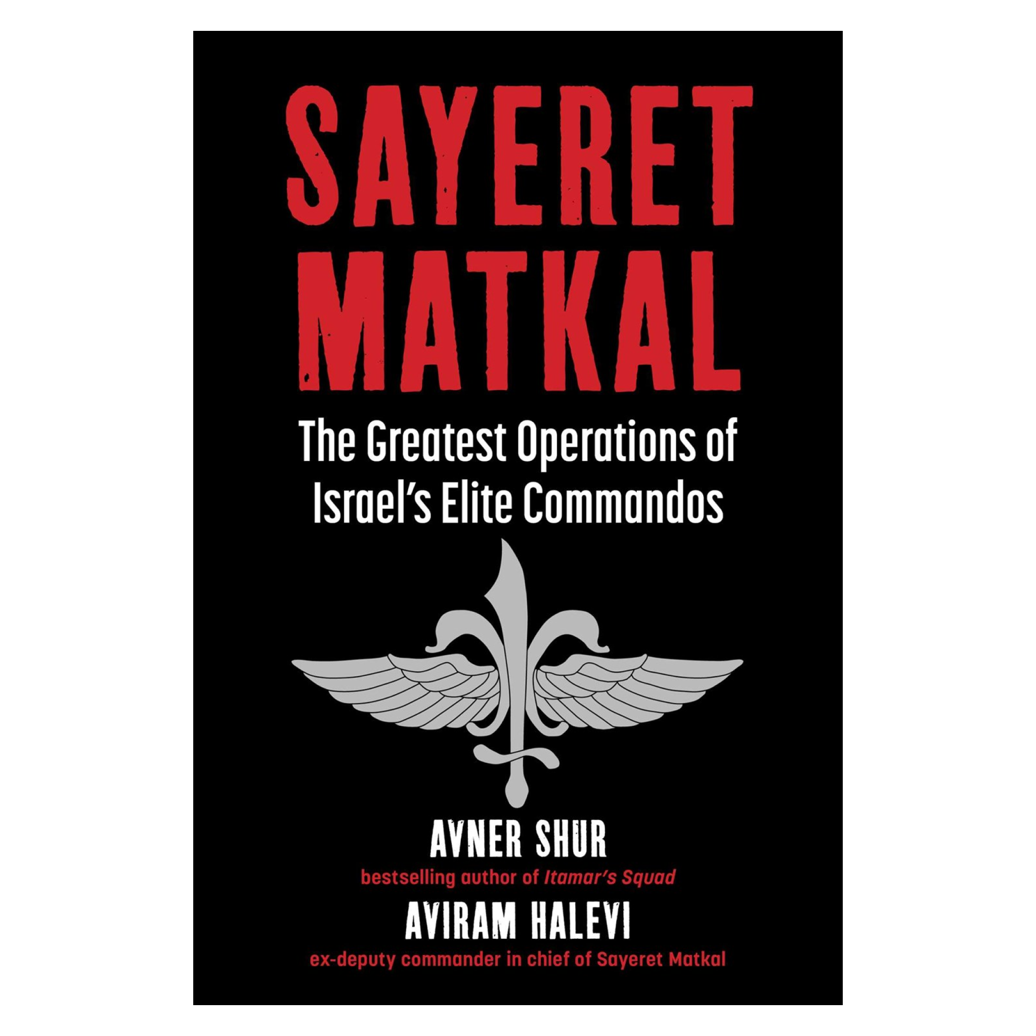 Sayeret Matkal SPYSCAPE