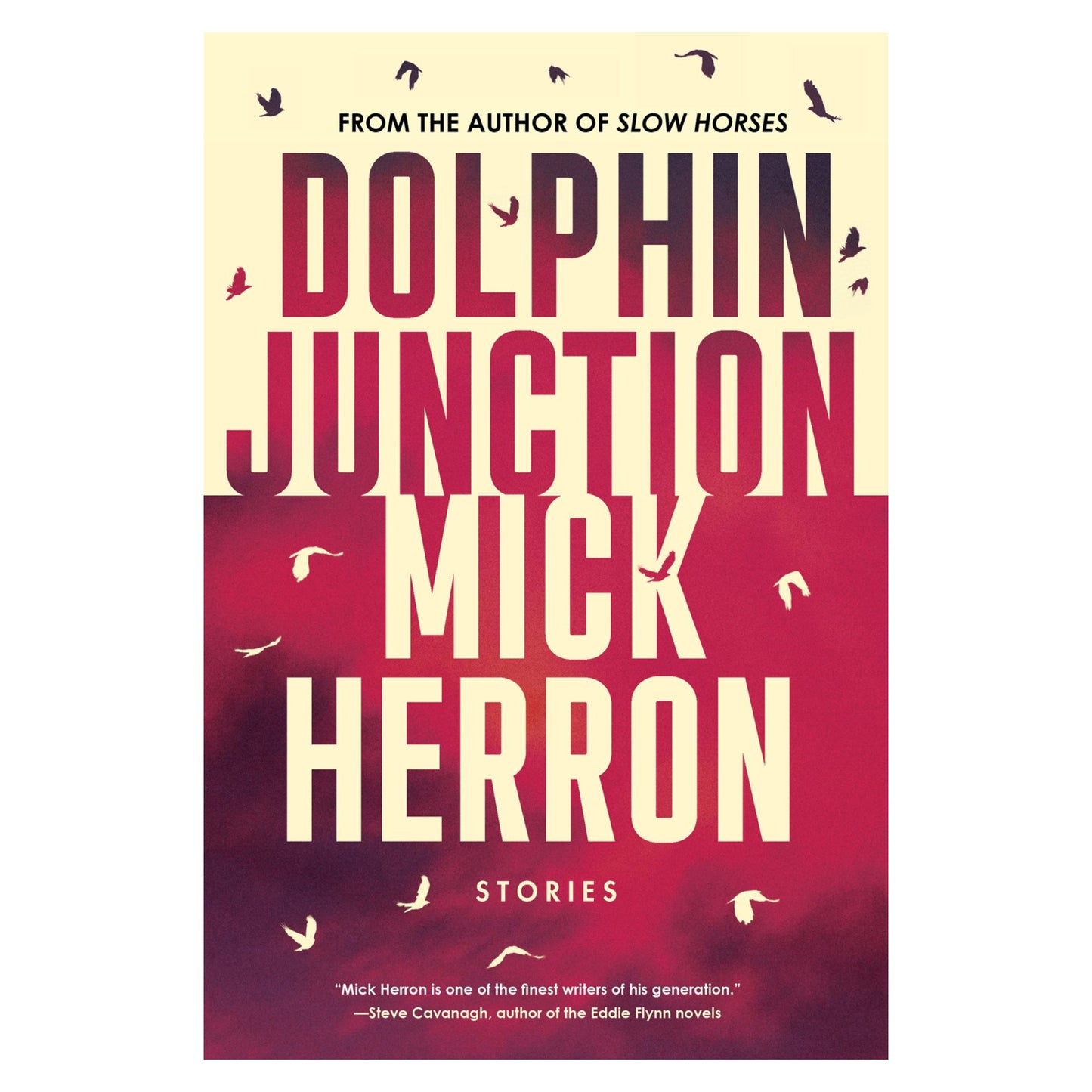 Dolphin Junction: Stories