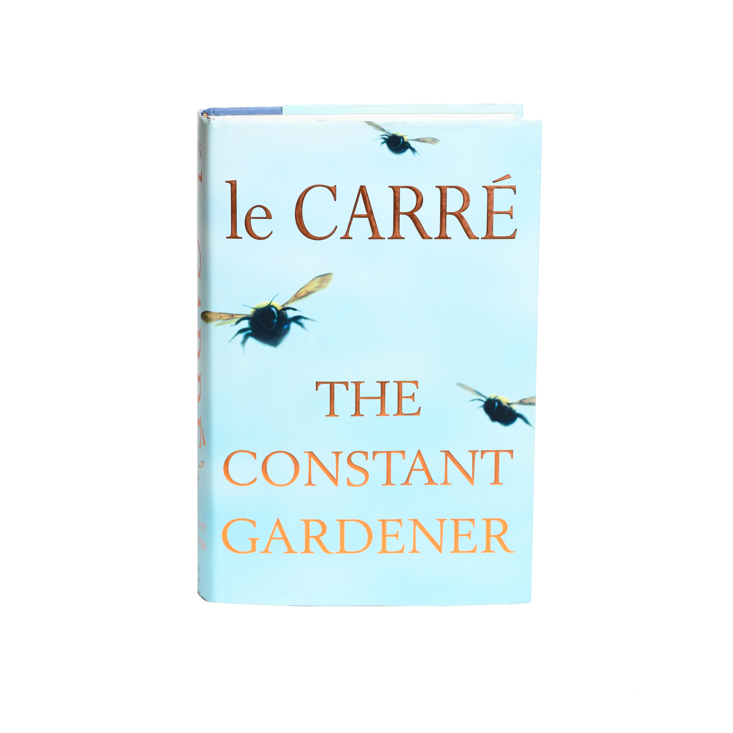 The Constant Gardener -