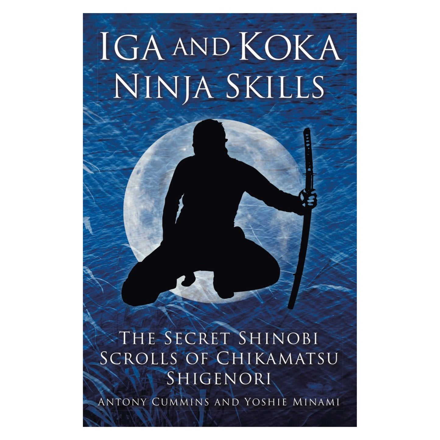 Iga and Koka Ninja Skills