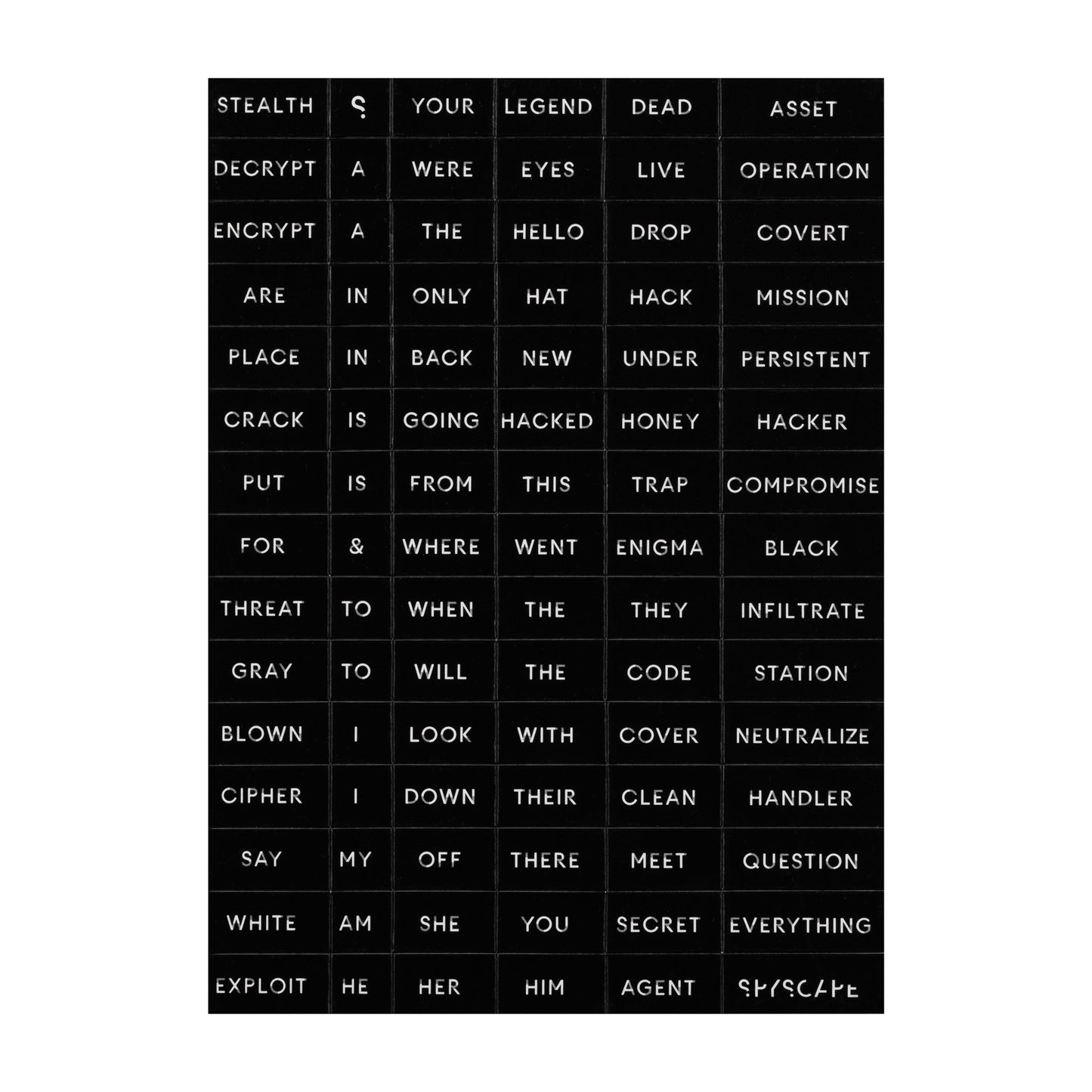 SPYSCAPE Code Word Fridge Magnets -