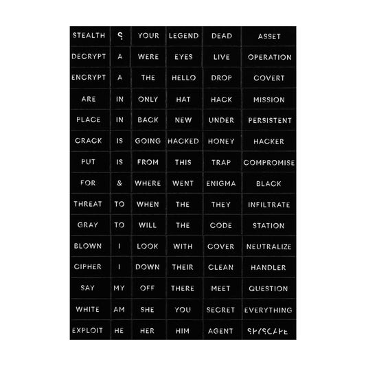 SPYSCAPE Code Word Fridge Magnets -