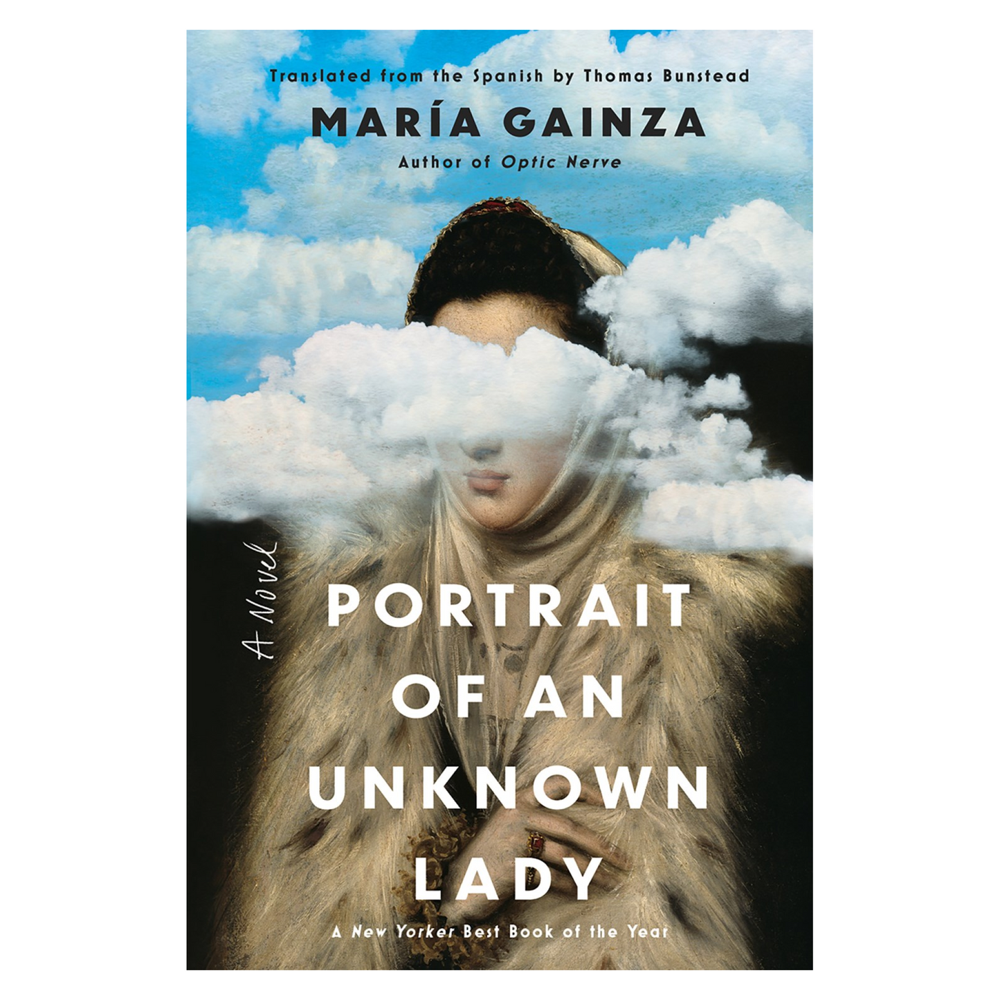 Portrait of an Unknown Lady: A Novel