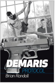 Demaris Protocol - 